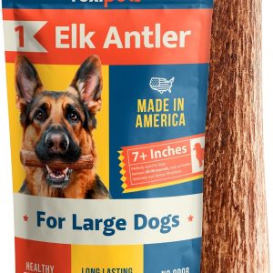 100% Natural – Elk Antlers for Dogs – Naturally Shed in USA – Long Lasting Chews for Aggressive Chewers – Natural, Real Dog Antler Treats & Toys – Dog Chews – No Odor & No Mess – Large